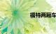 福特两厢车有哪几款