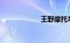 王野摩托车怎么样