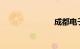 成都电子警察