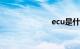 ecu是什么意思