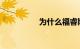 为什么福睿斯不值得买
