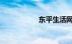 东平生活网违章查询