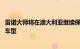 雷诺大师将在澳大利亚继续保持目前的形象 欧洲即将推出新车型