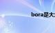 bora是大众什么车