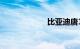 比亚迪唐100补贴