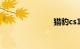 猎豹cs10油耗