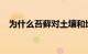为什么苔藓对土壤和地球的健康至关重要