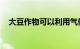 大豆作物可以利用气候变化来提高生产力
