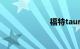 福特taurus价格