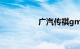 广汽传祺gm8致命缺点