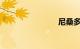 尼桑多少钱
