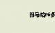 雅马哈r6多少钱一台