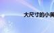 大尺寸的小黄车说说公交