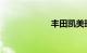 丰田凯美瑞多少钱