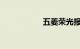 五菱荣光报价及图片
