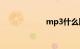 mp3什么牌子的好
