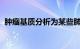 肿瘤基质分析为某些肺癌的进展提供了线索