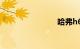 哈弗h6价格
