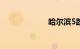 哈尔滨5路公交车