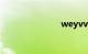 weyvv5报价