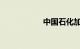 中国石化加油卡查询
