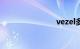 vezel多少钱