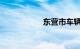 东营市车辆违章查询
