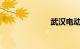 武汉电动车上牌