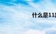 什么是11路公交车