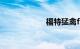 福特猛禽f150报价