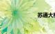 苏通大桥事故