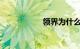 领界为什么这么便宜