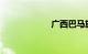 广西巴马旅游攻略