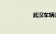 武汉车辆违章查询