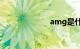 amg是什么意思