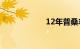 12年普桑车多少钱