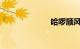 哈啰顺风车上线