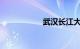 武汉长江大桥有多长