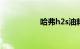 哈弗h2s油耗实际多少