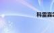 科雷嘉怎么样