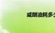 威朗油耗多少真实油耗