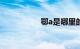 鄂a是哪里的车牌号码