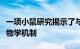 一项小鼠研究揭示了与失去控制有关的神经生物学机制