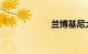 兰博基尼大牛小牛