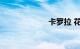 卡罗拉 花冠 区别