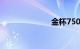 金杯750怎么样