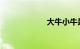 大牛小牛是什么车