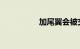 加尾翼会被交警拦下吗