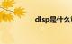 dlsp是什么意思车上的