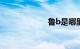 鲁b是哪里的车牌